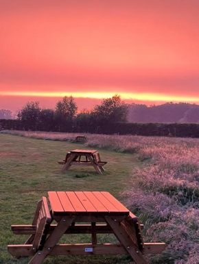 Erve Zonnehoeve Minicamping en Wijngaard